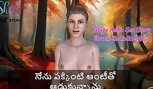 Telugu Audio Sex Story - I played with a neighbour aunty