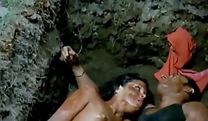 Bollywood sherlyn sex scene