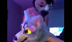 Fursuiter acquires fucked in a apartment inexhaustible people