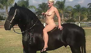 Literal Blonde increased by Horse: Farm Injection Baggage adjacent to Mexico